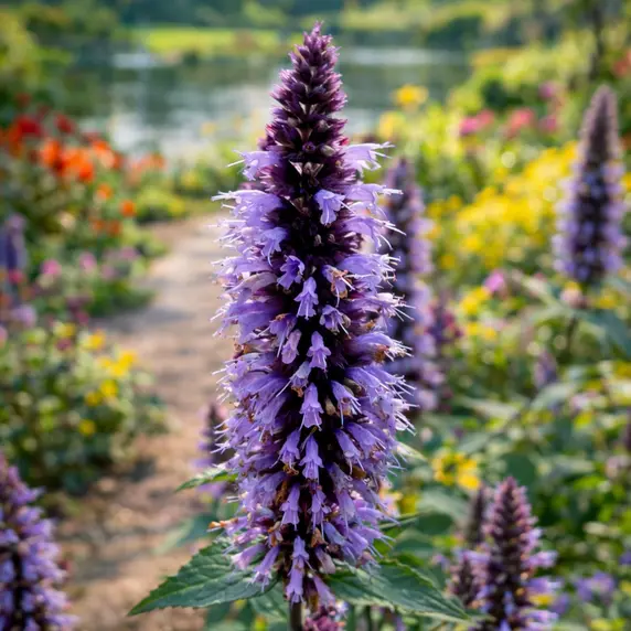 Picture Credit - Plantipp BV
