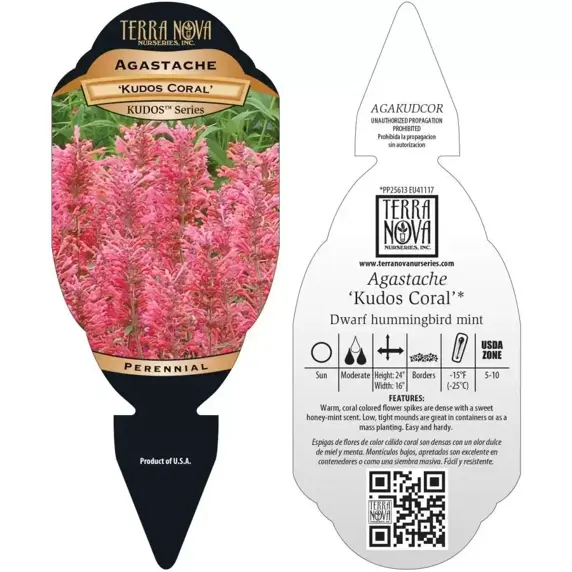 Picture Credit - TERRA NOVA® Nurseries, Inc. www.terranovanurseries.com
