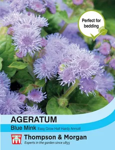 Ageratum Blue Mink - image 1