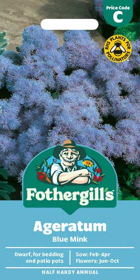 Ageratum Blue Mink Seeds - image 1