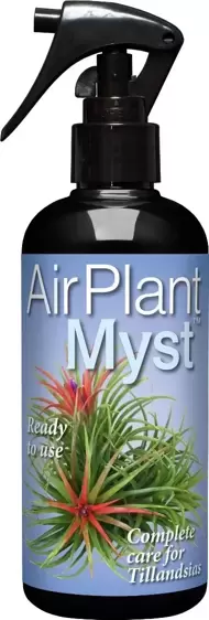 Air Plant Myst - image 1