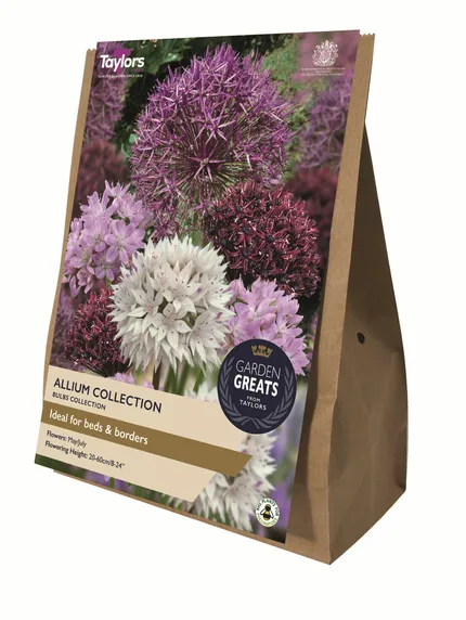 Allium Collection