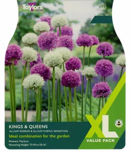 Allium Kings & Queens Bulb Collection