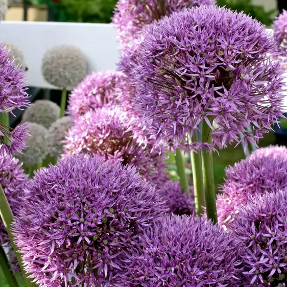 Photograph by Mike Peel (www.mikepeel.net)., CC BY-SA 4.0 <https://creativecommons.org/licenses/by-sa/4.0>, via Wikimedia Commons