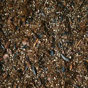 Alocasia Soil Mix Blend 2.5L - image 1