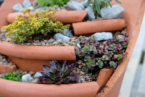 Alpine Planter Workshop