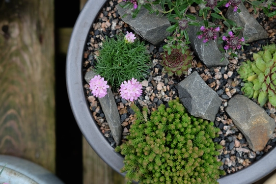 Alpine Planter Workshop
