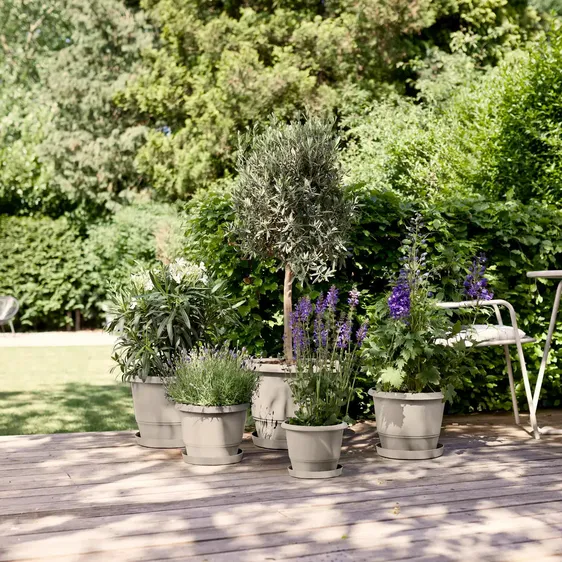 elho Amiga Mushroom Beige Pot - Ø25cm - image 4