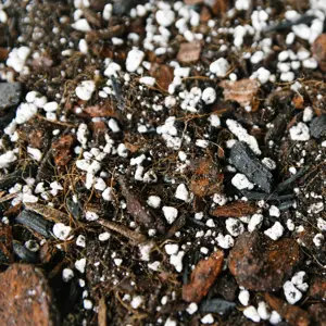 Anthurium & Orchid Soil Mix Blend 2.5L - image 1