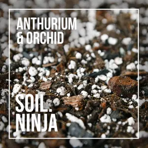Anthurium & Orchid Soil Mix Blend 2.5L - image 2