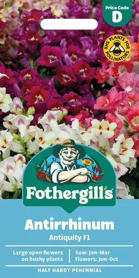 Antirrhinum Antiquity F1 Seeds - image 1