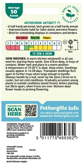 Antirrhinum Antiquity F1 Seeds - image 2