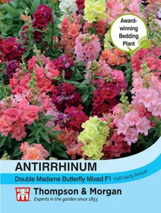 Antirrhinum Double Madam Butterfly Mixed - image 1