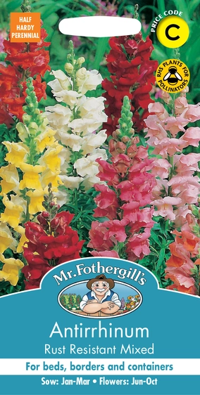 Antirrhinum Rust Resistant Mixed - image 1