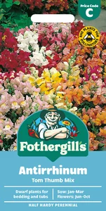 Antirrhinum Tom Thumb Mixed