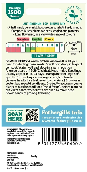 Antirrhinum Tom Thumb Mixed Seeds - image 2