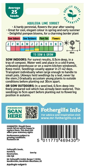 Aquilegia Lime Sorbet Seeds - image 2