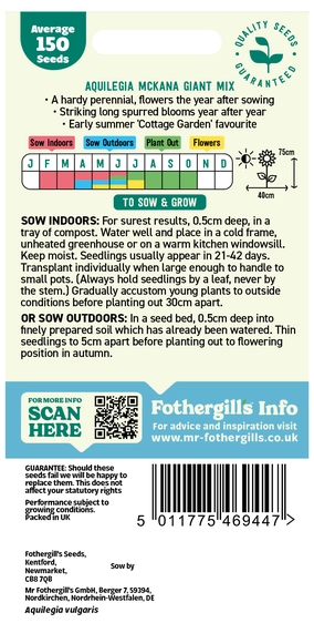 Aquilegia Mckana Giant Mixed Seeds - image 2