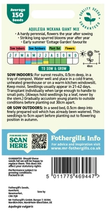 Aquilegia Mckana Giant Mixed Seeds - image 2