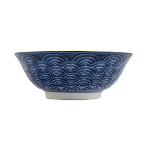 Arc Blue Ramen Bowl - image 2