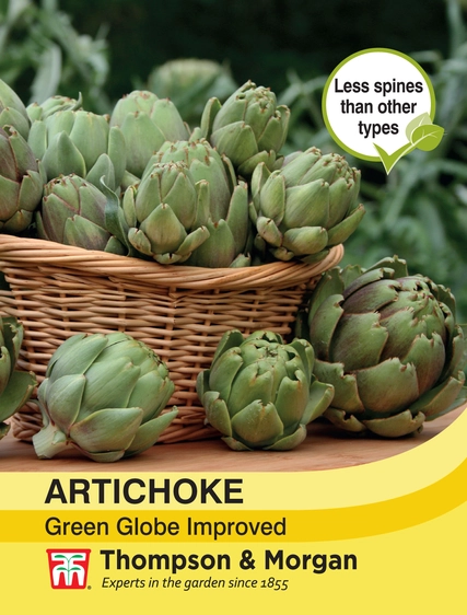 Artichoke Green Globe - image 1