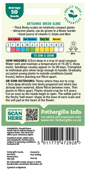 Artichoke Green Globe Seeds - image 2