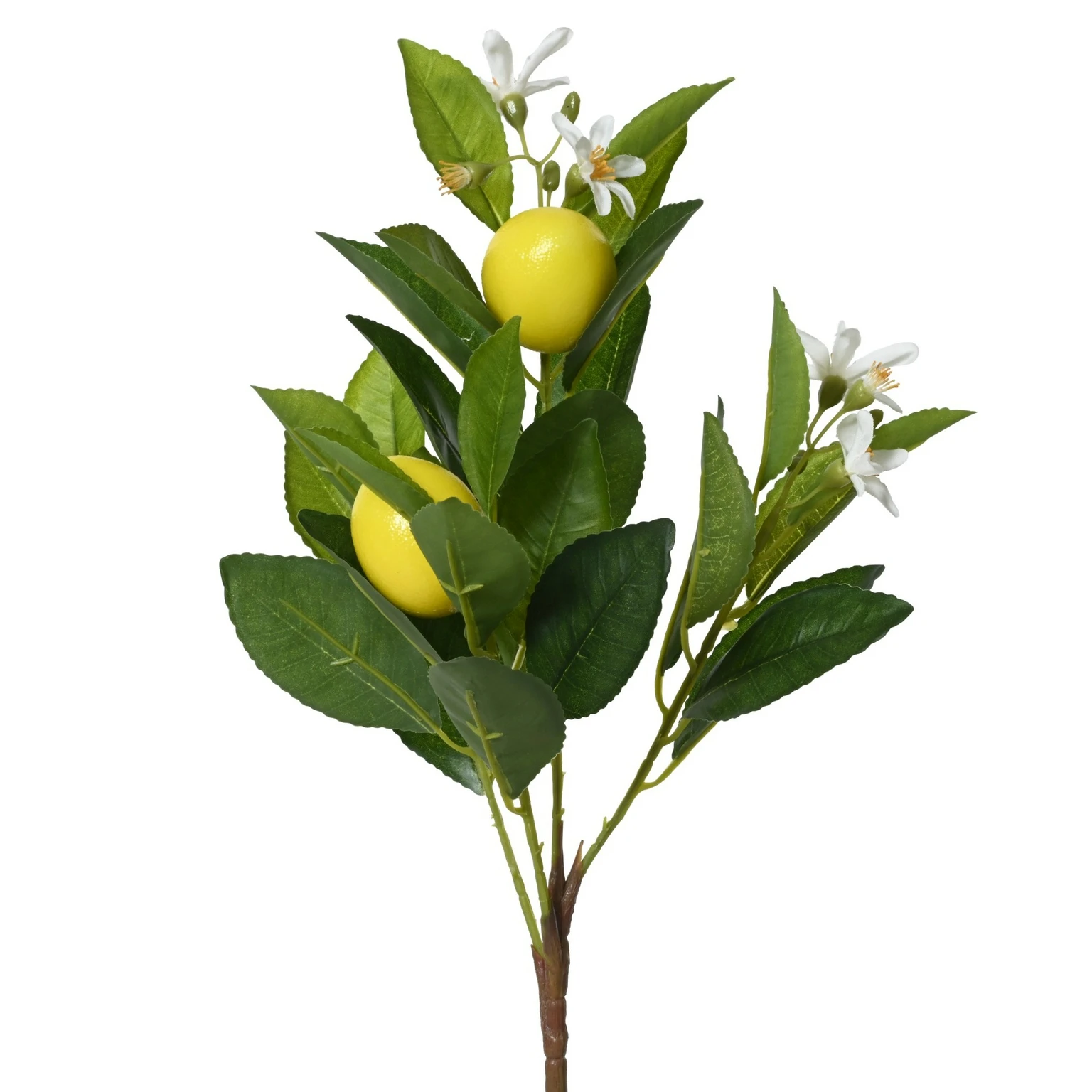 Artificial Citrus and Flower Stem - Lemon - Cowell's Garden Centre ...