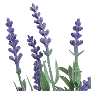 Artificial Lavender Glass Bottle - image 3