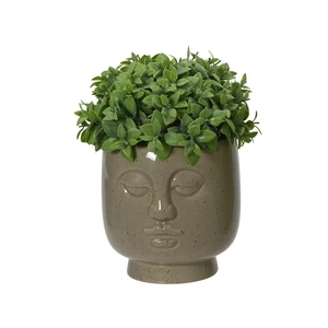 Artificial Plant in Pot with Face - image 2