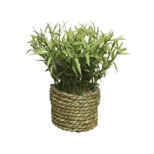Artificial Plant in Woven Pot