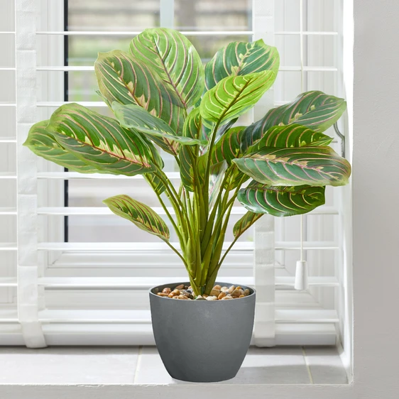 Artificial Prayer Plant