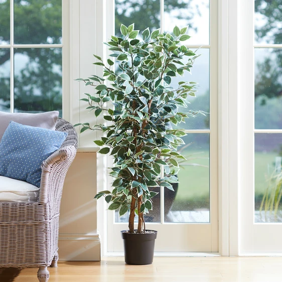 Weeping Fig Artificial Plant