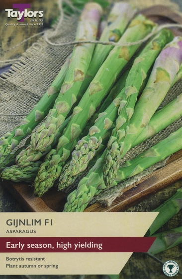 Asparagus Gijnlim F1