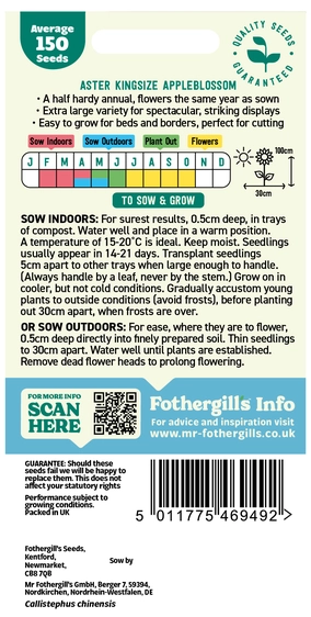 Aster Kingsize Appleblossom Seeds - image 2