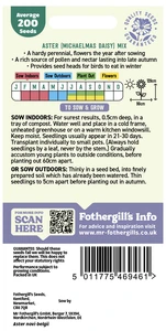 Aster (Michaelmas Daisy) Mixed Seeds - image 2