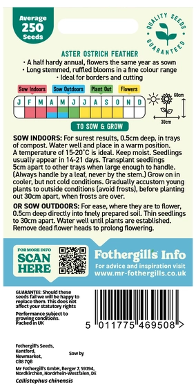 Aster Ostrich Feather - image 2