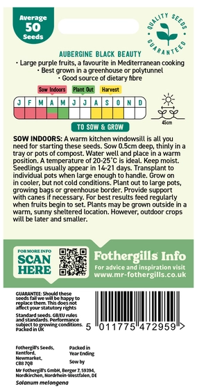 Aubergine Black Beauty - image 2