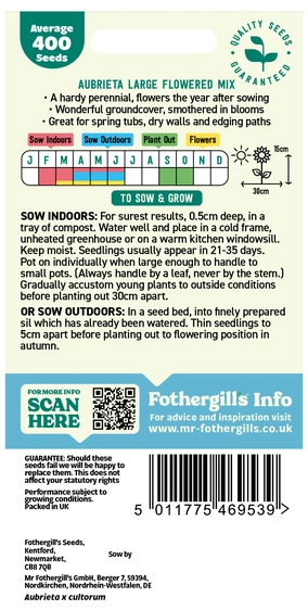 Aubrietia Large Flowered Mixed Seeds - image 2