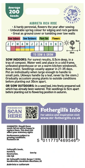 Aubrietia Rich Rose Seeds - image 2