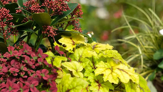 Autumn Planter Workshop