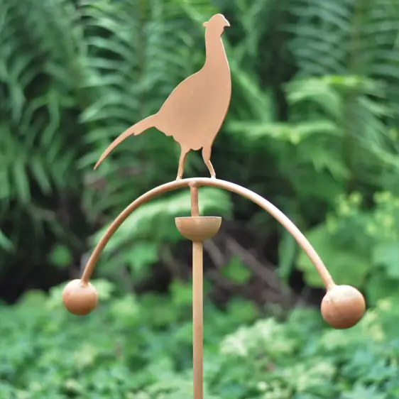 Balancing Pheasant