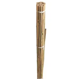 Bamboo Canes Bundle - Large