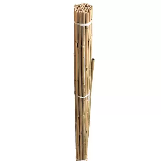 Bamboo Canes Bundle - 210cm