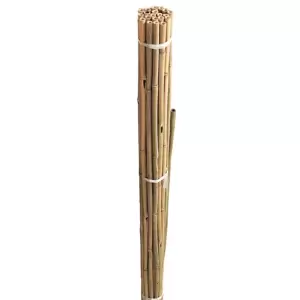 Bamboo Canes Bundle - 150cm