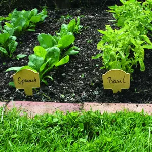 Bamboo Plant Markers