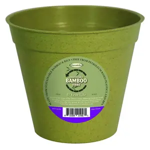 Bamboo Pot 8" Sage Green