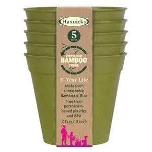 Bamboo Pot - Sage Green