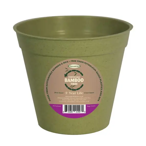 Bamboo 8" Sage Green Pot - image 1