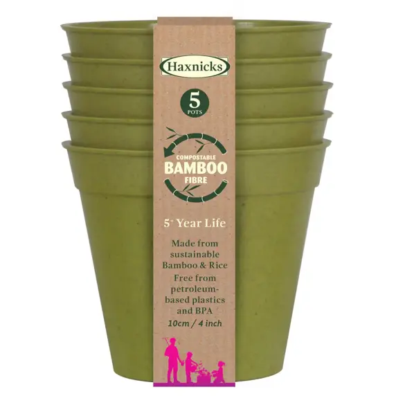 Bamboo 4" Sage Green Pot Pack Of 5 - image 1