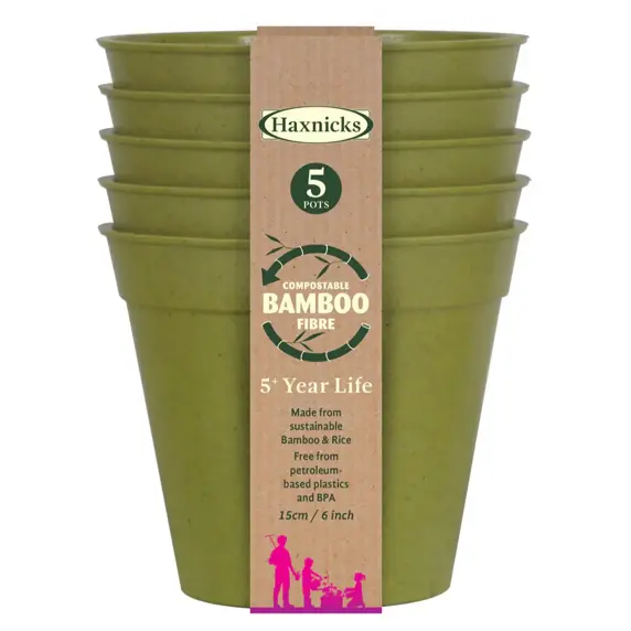 Bamboo 6" Sage Green Pot Pack Of 5 - image 1
